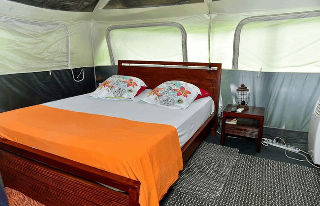 Redoute Paradise - Photo 17