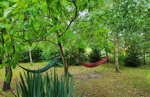 Domki na Górce - Foto 28