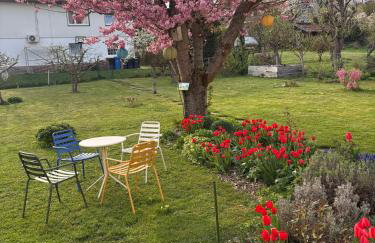 Ferienhaus Prinzessinengarten - Photo 3