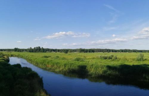 Przystanek Trześcianka - Foto 48