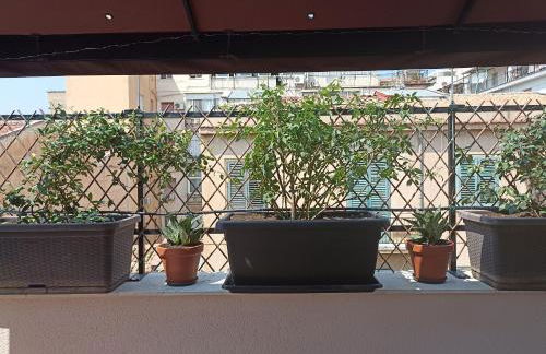 A&C GOLD DIAMOND - Foto 61