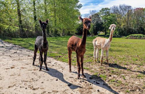 5 Bed in Ventnor oc-94494 - Foto 24