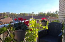 Jungle Sunshine Apartment - Foto 35