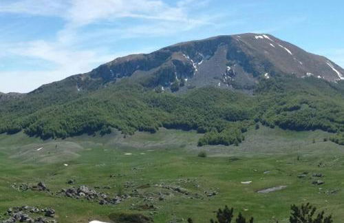 Tana di Zia Nature, Yourself, Love - Foto 34