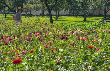 Ferienwohnung Ava - Heiligkreuztal - Foto 35