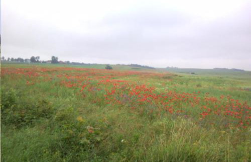 Fajne Miejsce - Foto 22