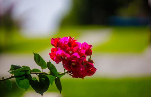 Panorama beach - Foto 18