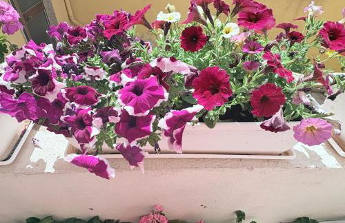 Villa Stefania - Foto 17