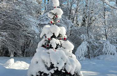 Haus am Wald -FeWo - Foto 29