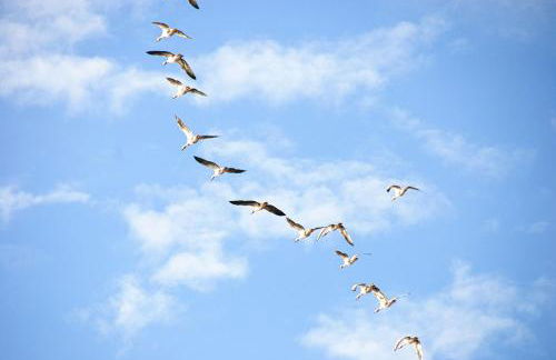 Landhaus Trent Haushälfte Udars - Foto 36