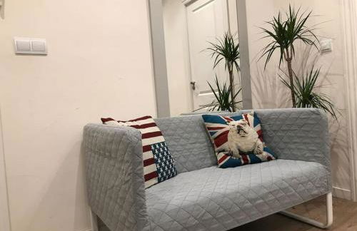 City center where Falla starts - Photo 4