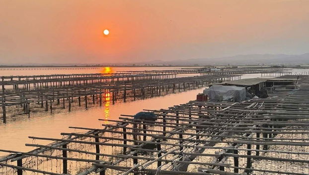 Enjoy an oyster and mussel tasting while sailing Northern Spain