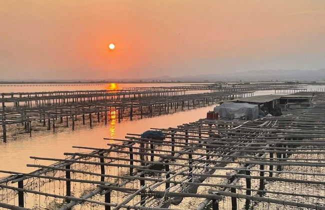 Paseo en barco con degustación de ostras y mejillones - Foto 2