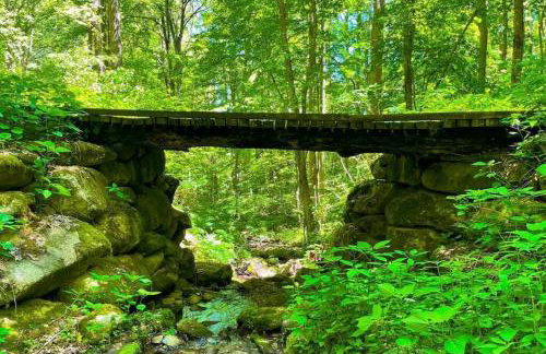 Nature's Paradise at 'The Reserve at Hot Springs' - Foto 20