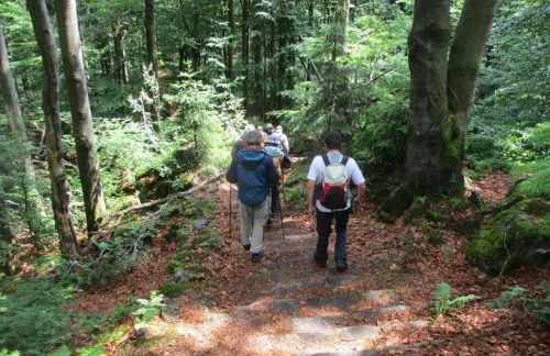 Ferienhaus Ederer - Foto 50