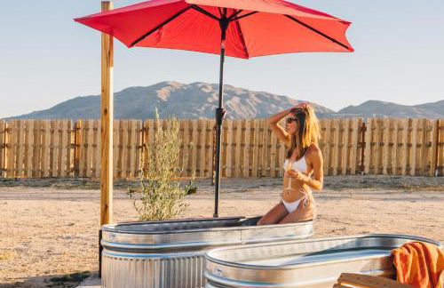 Wanderlust Joshua Tree Stargazing Desert Retreat - Photo 78