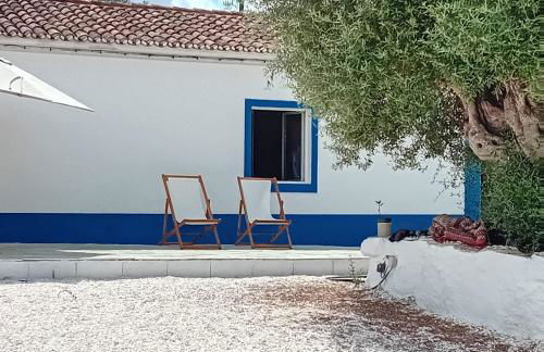 Monte da Broa - Foto 24