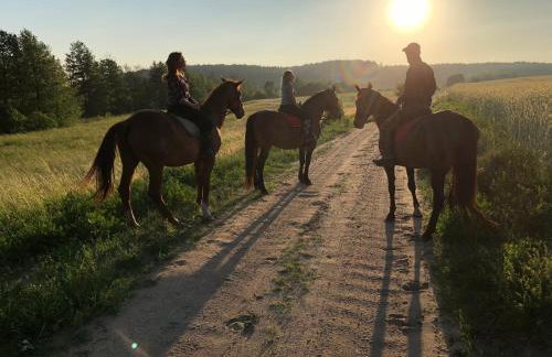 Mazurski Domek - Wake Up Home Ogonki - Foto 33