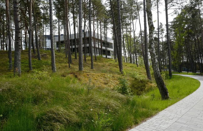 Art Forrest 33 K in Rogowo - Photo 21