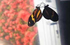 Ôxente que lugar arretado! - Photo 33