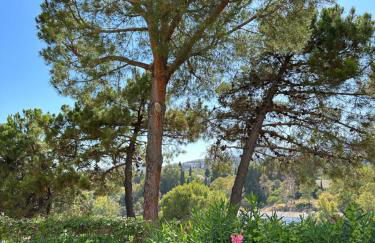 Marbella Golf Garden Apartments - Photo 49