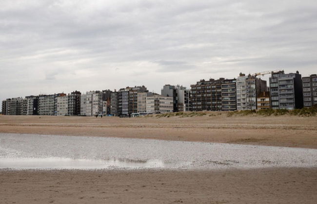 Apartment in St-idesbald Near the Sea - Photo 23