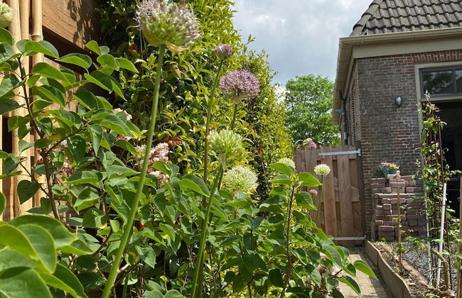 Chalet in Ternaard Near Heritage Site - Foto 33