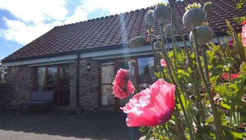 Tyncellar Farm Holiday Cottages - Foto 3