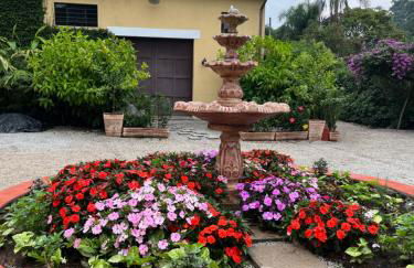 Vila Adega Maravilha - Foto 1