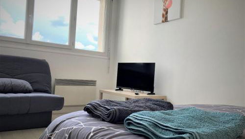 Appartement double à Limoges - Foto 2