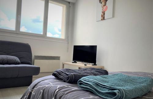 Appartement double à Limoges - Foto 2