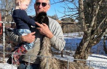 Cabin with a tree house on a buffalo farm . - Foto 31