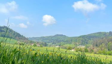 Black Forest Apartments - Foto 4