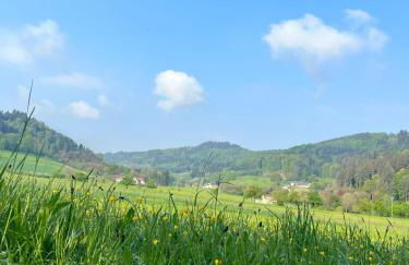 Black Forest Apartments - Foto 4