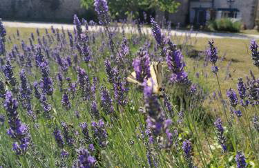 Maison la tour - Photo 71