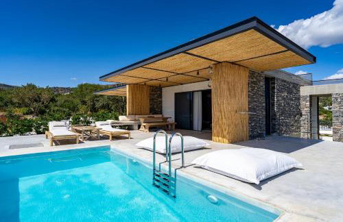 Akra Grammeno Beachfront Villas - Foto 60