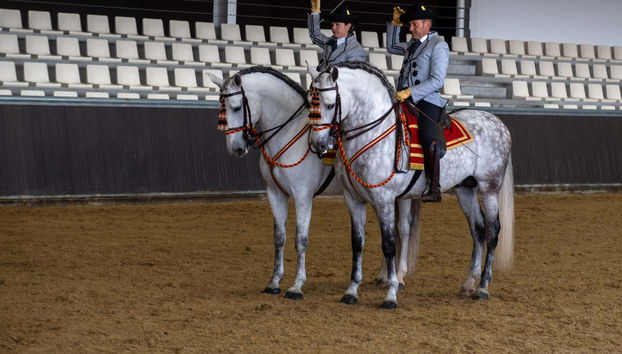 Chevaux et cavaliers se coordonnant parfaitement