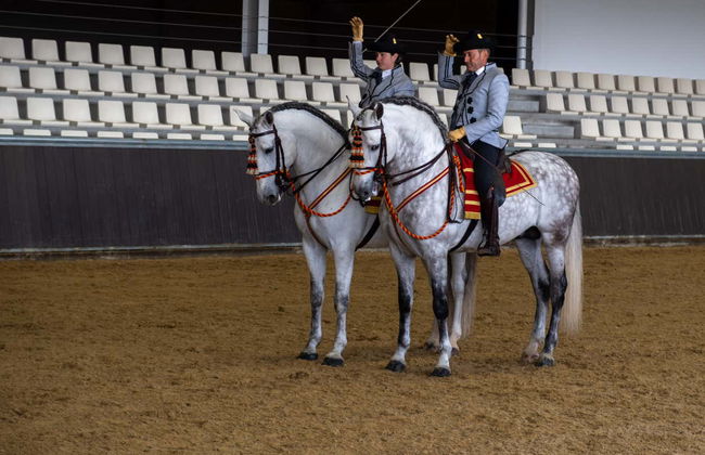 Spectacle équestre à Carmona - Photo 3