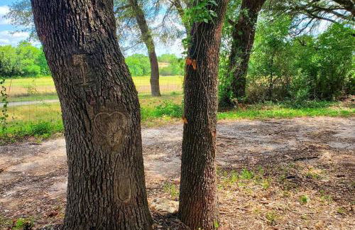 The Lonely Bull Luxury Container Home on 5 Acres - Foto 26