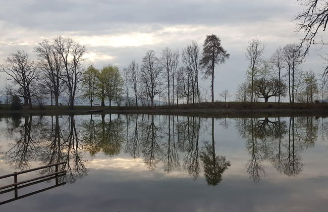 Casa Schilling - 4 Charming Rooms in the Best Location - Foto 8