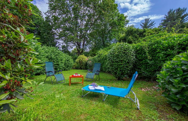 Rododendro Rosso - Foto 31