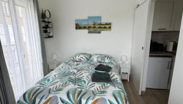 Cosy Loire, T2 neuf, front de Loire ,vue cathédrale,5min à pied centre ville et parking privé - Foto 2