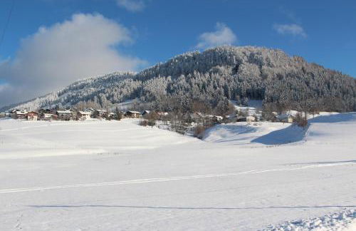 Bergflügel Fewo, Schwimmbad, Sauna, Skilift - Foto 31