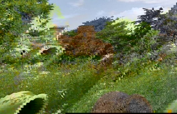 Cappadocia Deep Cave House - Foto 12