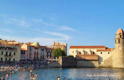 BAMBOU SERENITE ECO LOGIS -Piscine - Foto 41