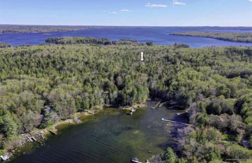 BLUEBERRY MORE LIMIT 17 home - Foto 33