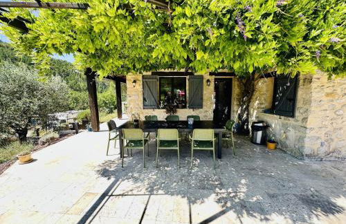 Maison en pierre, piscine, spa - Foto 21