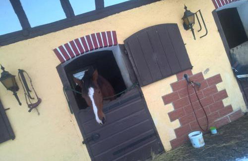 Etzauer Mühle im Taunus, Mensch-Zeit-Pferd - Foto 11