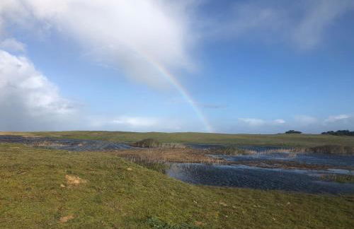 L'océan à la campagne - Foto 9