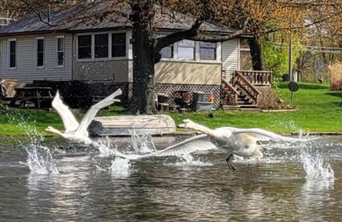 Large 1 BR Cottage, KING BED on the Lake - Foto 33